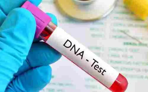 Tes DNA juga Bisa Prediksi Resiko Penyakit